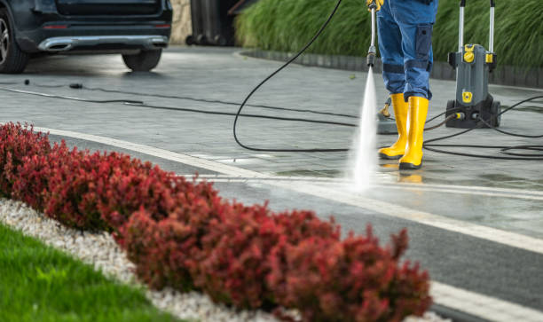 Best Building Exterior Washing  in Lantana, TX